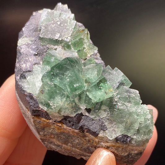 A hand holds a mineral specimen from The Crystalary with a cluster of translucent green and clear cubic crystals, identified as Fluorite- Northern Lights Pocket from the Diana Maria Mine in Co. Durham, England. The dark and rough base highlights the sharp-edged crystals that glimmer under light, showcasing their intricate structure.