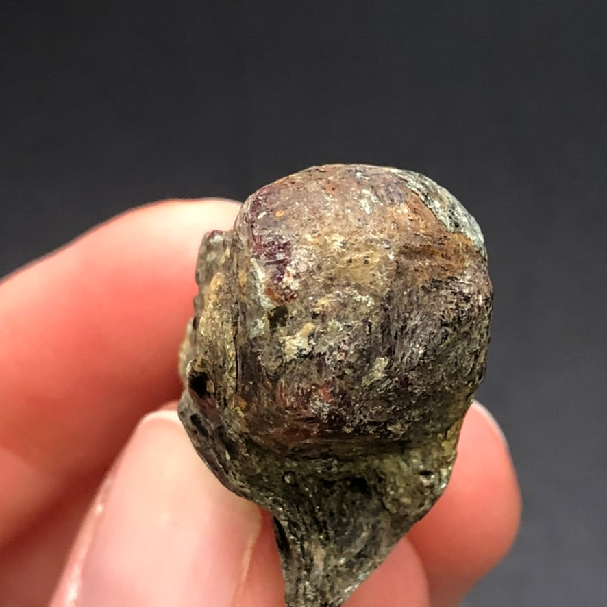 In this close-up, fingers delicately hold the AUCTION- Almadine Garnet from Markstay, Ontario, Canada, by The Crystalary. Its small, rough-textured surface with a dark brown and grayish sheen stands out against the solid dark gradient background, highlighting its unique texture and shape.