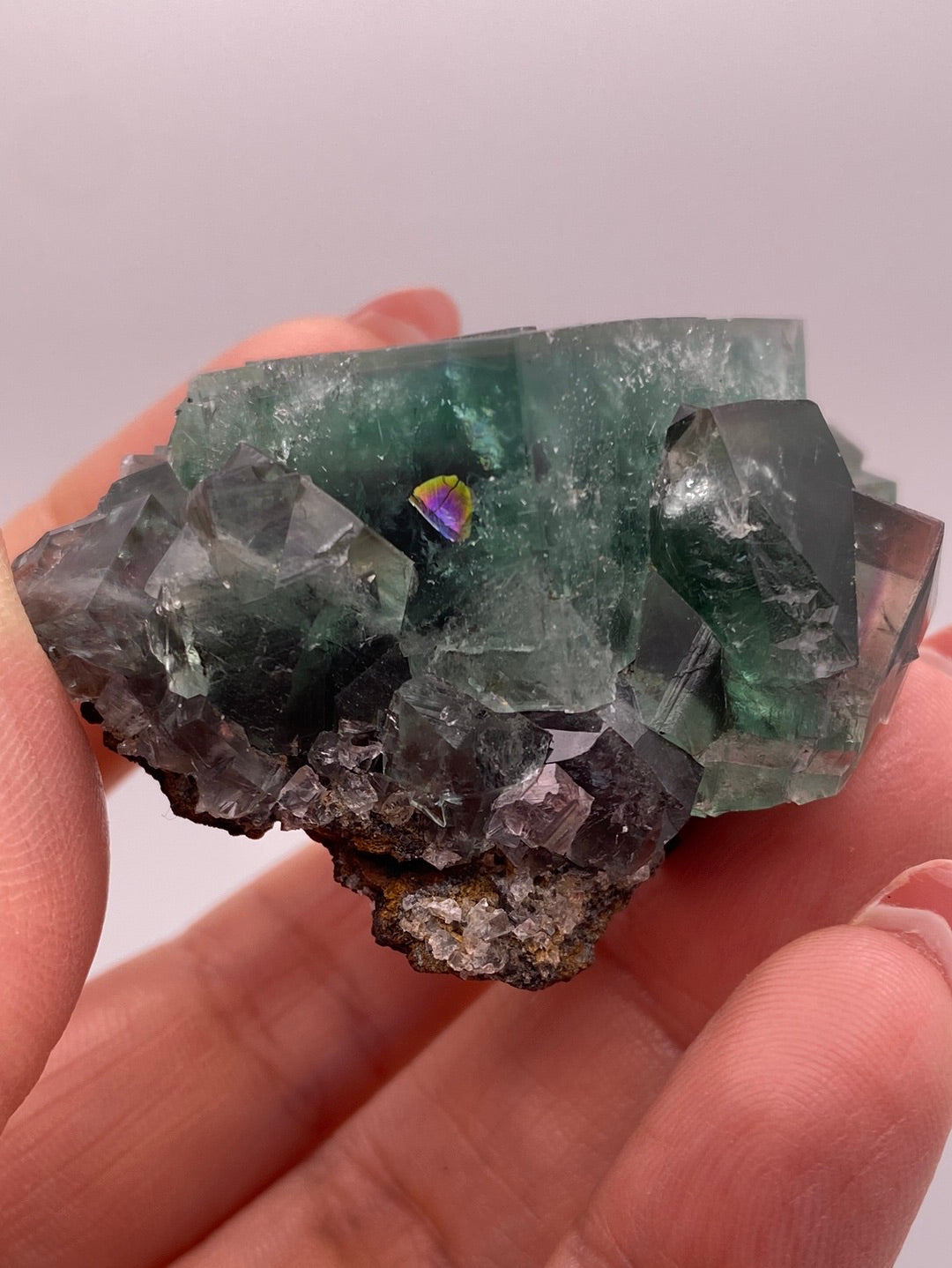 Fluorite- Rainbow's End Pocket, Lady Annabella, Co Durham, UK