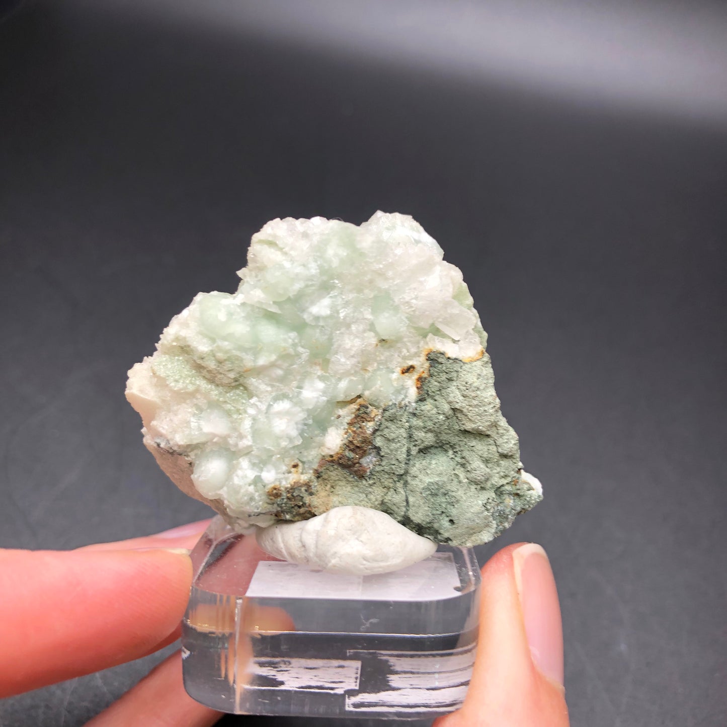 A person holds the AUCTION- Apophyllite on Prehnite, a minty green mineral cluster from The Crystalary, featuring white apophyllite crystals, elegantly set on a clear display stand against a dark background.