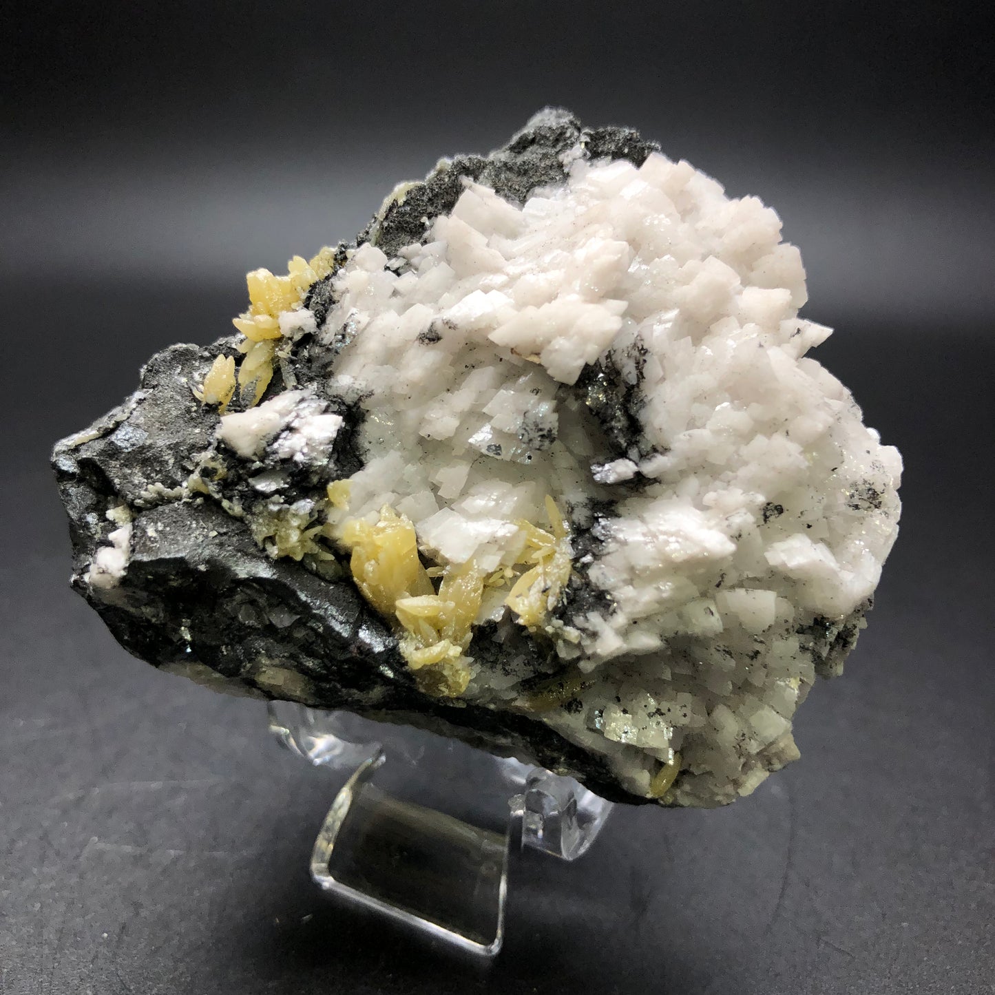 An exquisite AUCTION- Mimetite, Dolomite on Galena from The Crystalary, originating from the Tsumeb Mine in the Oshikoto Region of Namibia, showcases white crystalline formations with yellowish accents on a dark galena base. It is elegantly presented on a clear stand against a black background.