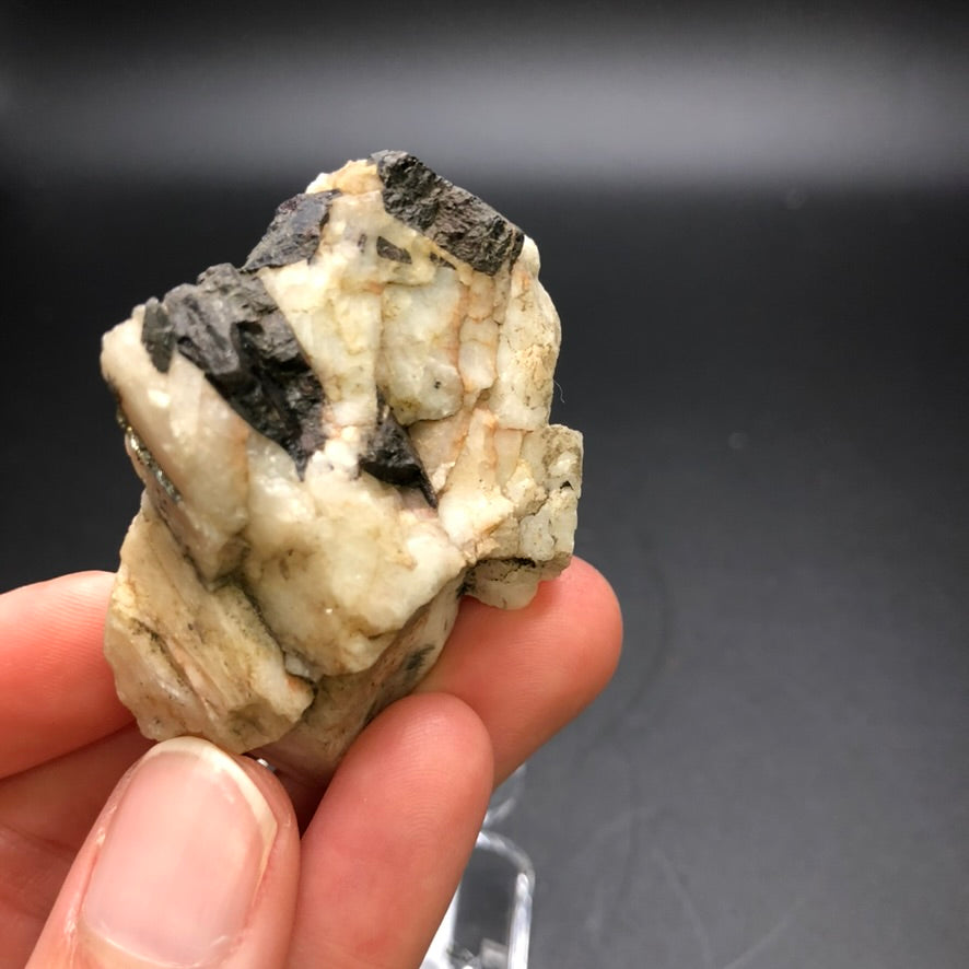 AUCTION- Wolframite- Germania Mine, Springdale Mining District, Stevens County, Washington, USA