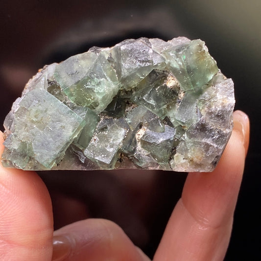 A hand is holding a cluster of translucent green Fluorite- Northern Lights Pocket crystals from the Diana Maria Mine by The Crystalary, their sharp edges and mix of light and dark hues illuminated against a dark background. These tightly packed formations, from the River Catcher Vein, display clear sections that enhance their striking beauty.