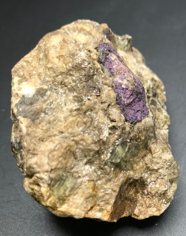 A rough, unpolished rock with a predominantly tan hue features a distinct purple Wilsonite inclusion on its surface. This captivating piece, part of The Crystalary's AUCTION collection featuring altered Scapolite from Canada, is showcased against a dark background.