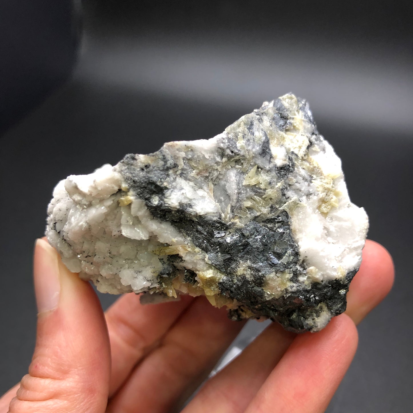 A hand holding a specimen from The Crystalary's AUCTION collection, featuring Mimetite and Dolomite on Galena from the Tsumeb Mine in Namibia, showcasing a mix of white, black, and gold-toned minerals possibly alongside quartz and pyrite, against a plain dark background.