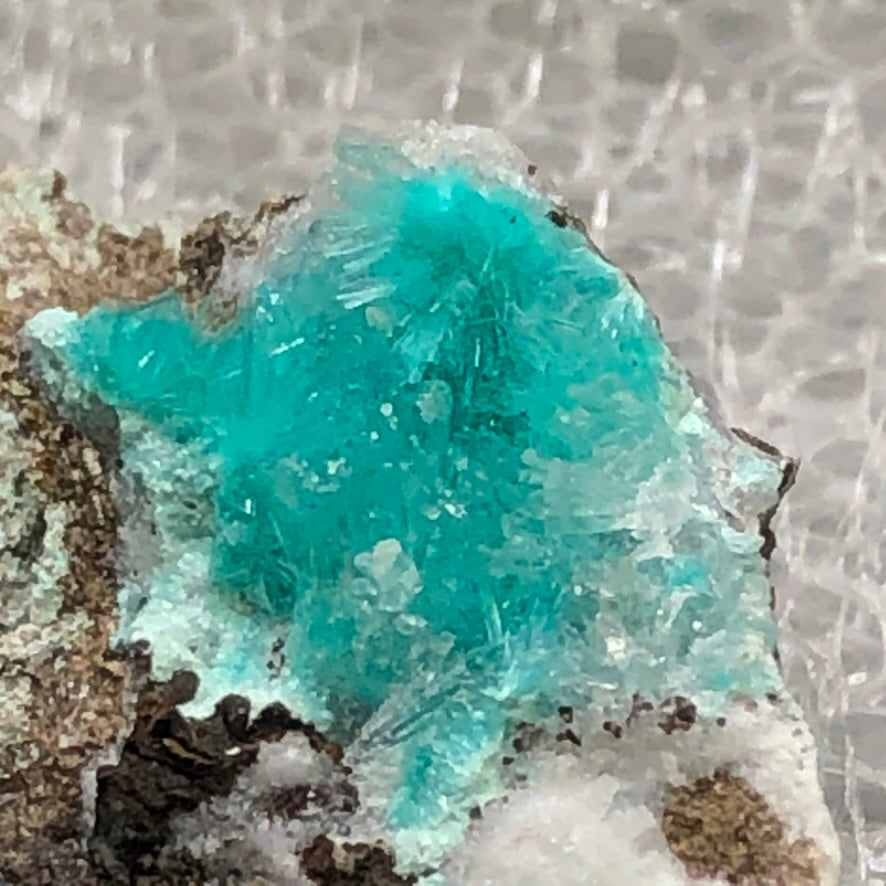 AUCTION- Aurichalcite, Hemimorphite- 79 Mine, Gila County, Arizona, USA