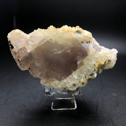 Displayed on a stand, "AUCTION- Fluorite- unknown Chinese locality" from The Crystalary features a large, rugged mineral cluster with druzy quartz in predominantly translucent purple hues. Accompanying the purple are clear and white crystalline structures with dark pyrite inclusions scattered throughout, all set against a black background.