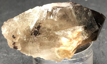 AUCTION- Smoky Quartz- Lake George, Park County, Colorado, USA