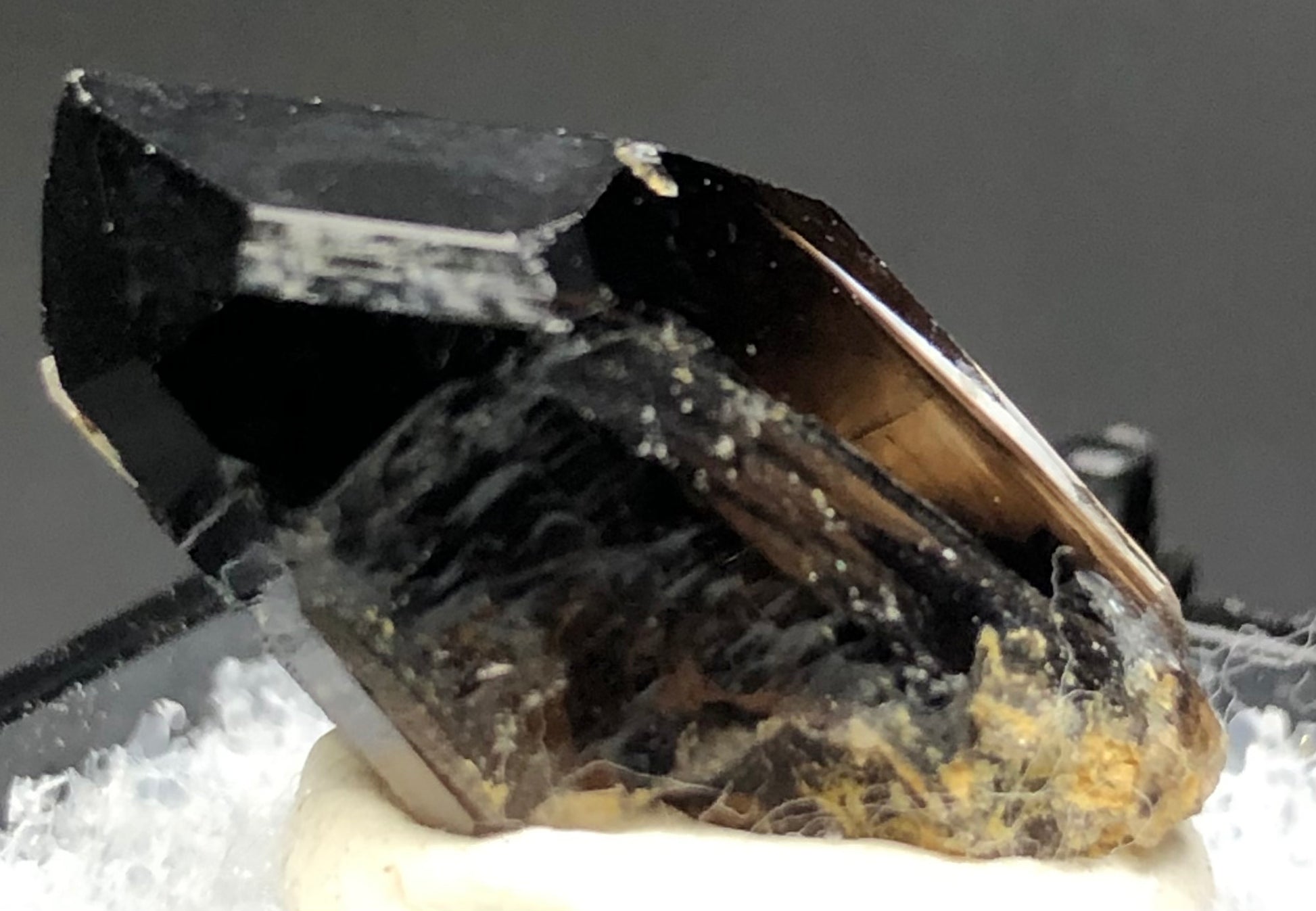 A close-up image captures the sharp-edged, dark, glassy AUCTION- Smoky Quartz from Mount Malosa, Zomba, Southern Region, Malawi by The Crystalary. The crystal's reflective surfaces and intriguing internal patterns are partially embedded in a white, clay-like base and set against a blurred, neutral background.