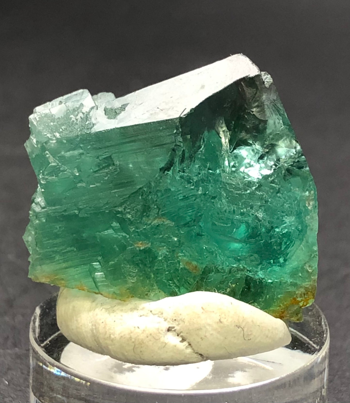 AUCTION- Fluorite- 50 Year Pocket, Rogerly Quarry, Stanhope, County Durham, England