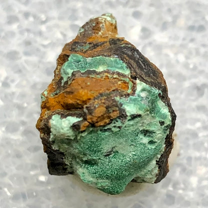 AUCTION- Rosasite- Durango, Mapimi, Mexico