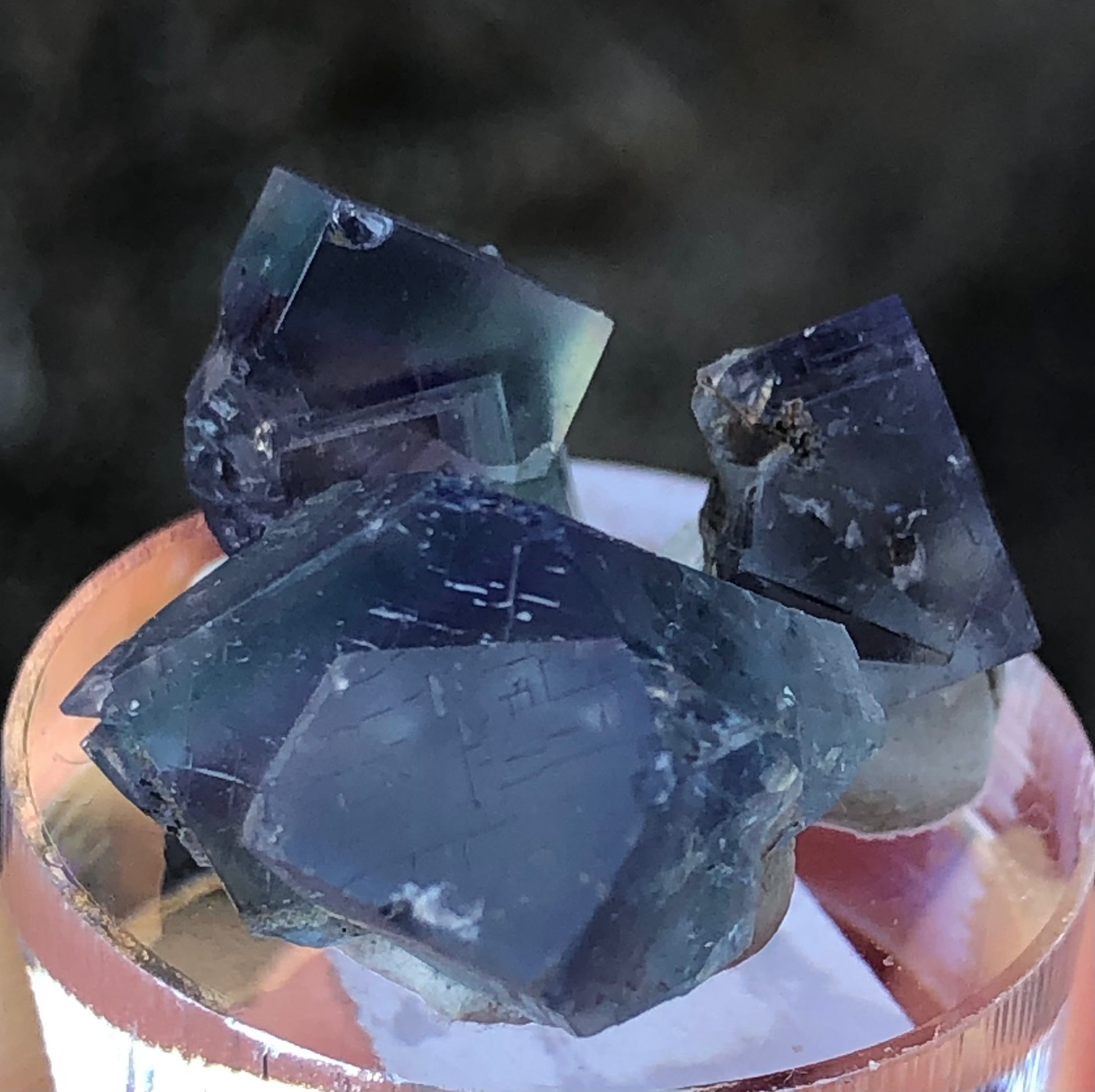 Three translucent cubic fluorite crystals from The Crystalary's "AUCTION- Fluorite- Rainbow's End Pocket, Lady Annabella, Co Durham, UK" are displayed on a circular base. They feature a deep blue hue with visible cracks and imperfections against a blurred dark background.