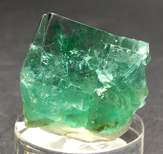 AUCTION- Fluorite- 50 Year Pocket, Rogerly Quarry, Stanhope, County Durham, England