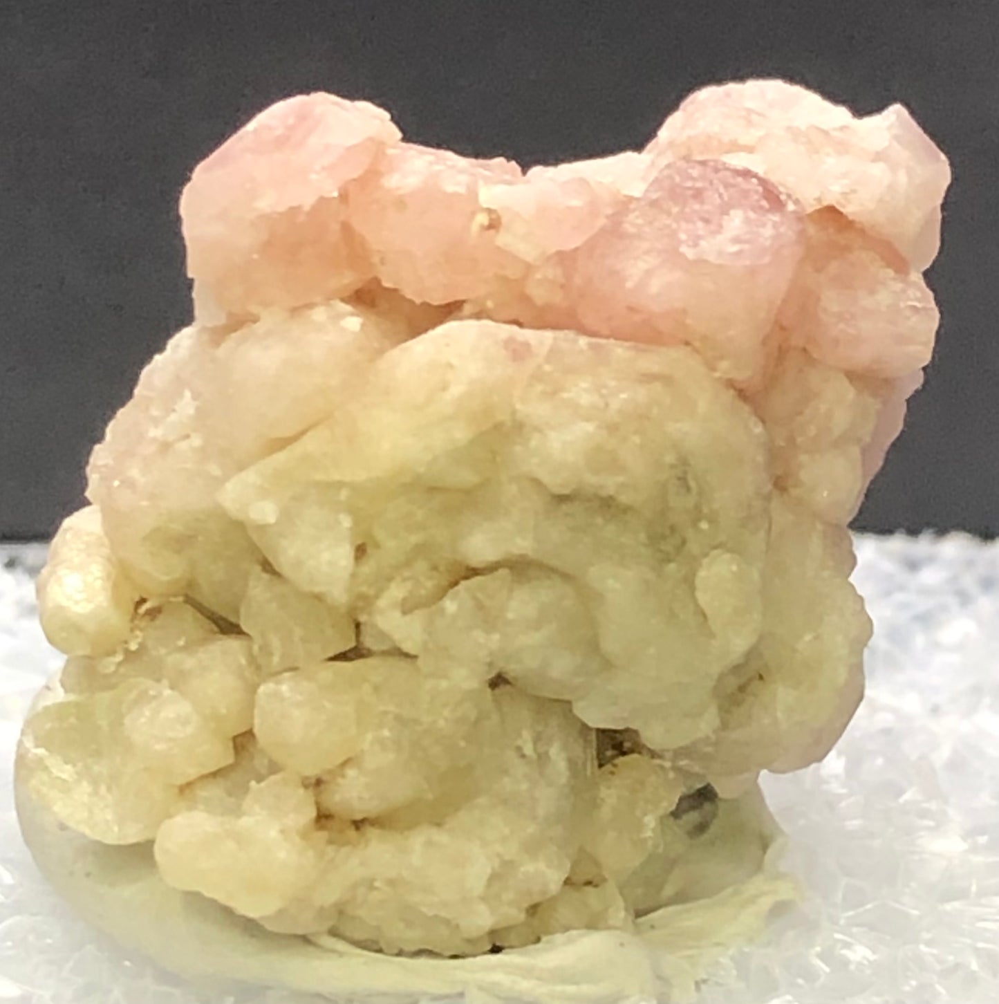 A close-up of AUCTION- Grossular Garnet crystals by The Crystalary from Morelos, Mexico. Light pink crystals are perched on a beige base and set against a white background.