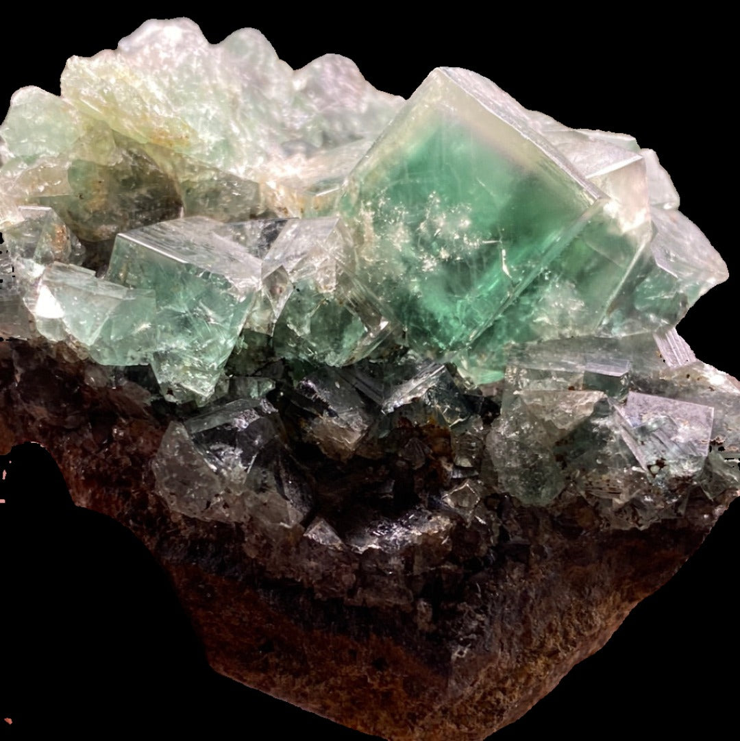 Fluorite crystals from The Crystalary's "Rainbow's End Pocket" collection, sourced from the Lady Annabella mine in Co Durham, UK, are set in a dark brown rock matrix. These crystals display clear green cubic formations alongside more irregular, jagged fragments. The black background beautifully accentuates the contrast between the translucent fluorite and the opaque rock.