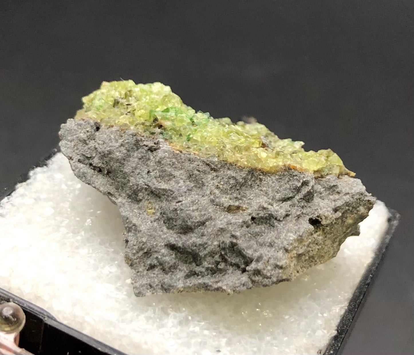 A stunning piece from The Crystalary, the "AUCTION- Peridot- San Carlos Indian Reservation, Peridot, Arizona, USA" features a gray rock intricately adorned with micro-crystals of green peridot formations. It is elegantly displayed on a bed of white textured material and set dramatically against a black background.