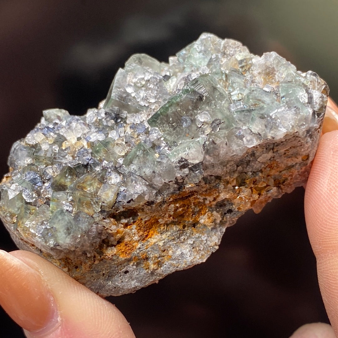 A close-up of hands holding a Fluorite cluster with greenish, translucent crystals from the Northern Lights Pocket in the Diana Maria Mine. The crystal formation appears on a rough, earthy, brownish-grey matrix. The background is dark and blurred, emphasizing the texture and details of this exquisite specimen from The Crystalary's collection.