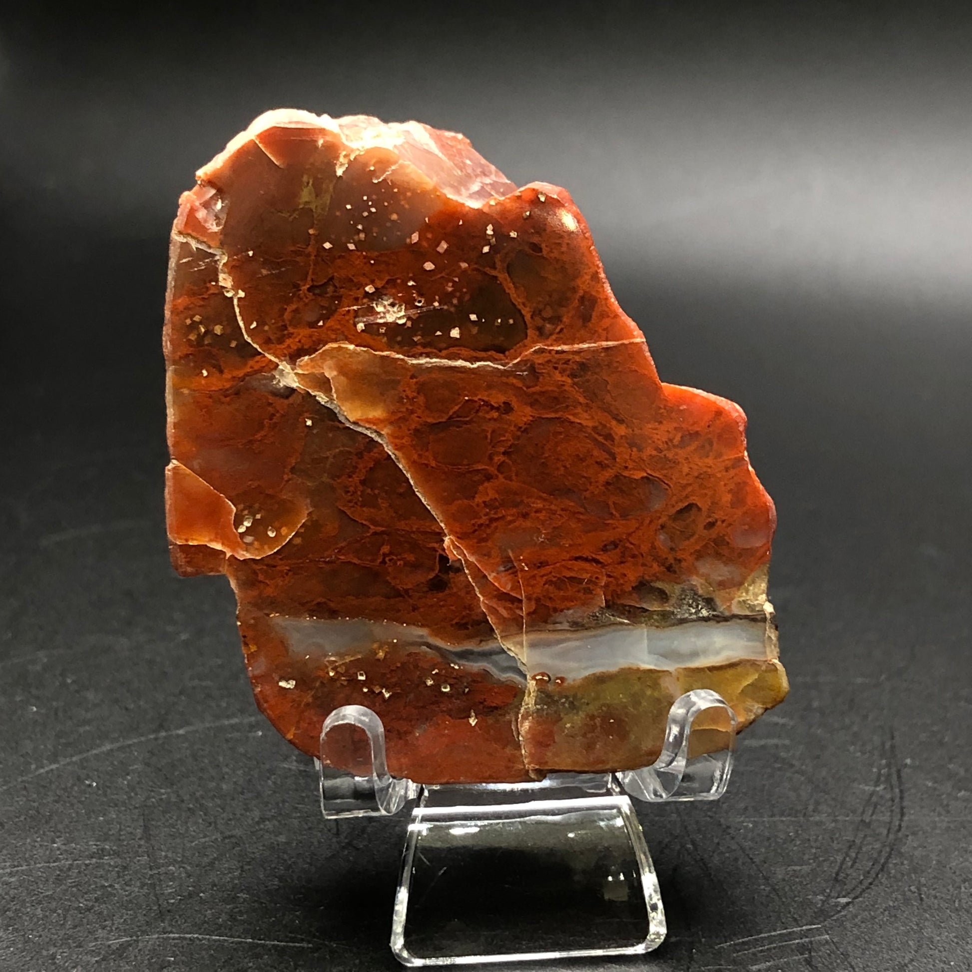 A rough, reddish-brown rock, known as AUCTION- Agate- unk locality from The Crystalary, rests on a clear stand against a black background. Its textured surface is marked by visible cracks and small shiny specks, with streaks of beige and white adding depth to its dimensions.