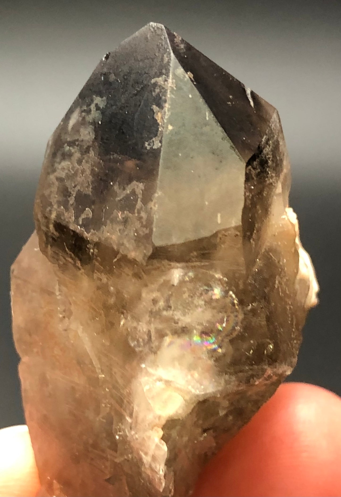 AUCTION- Smoky Quartz- Lake George, Park County, Colorado, USA