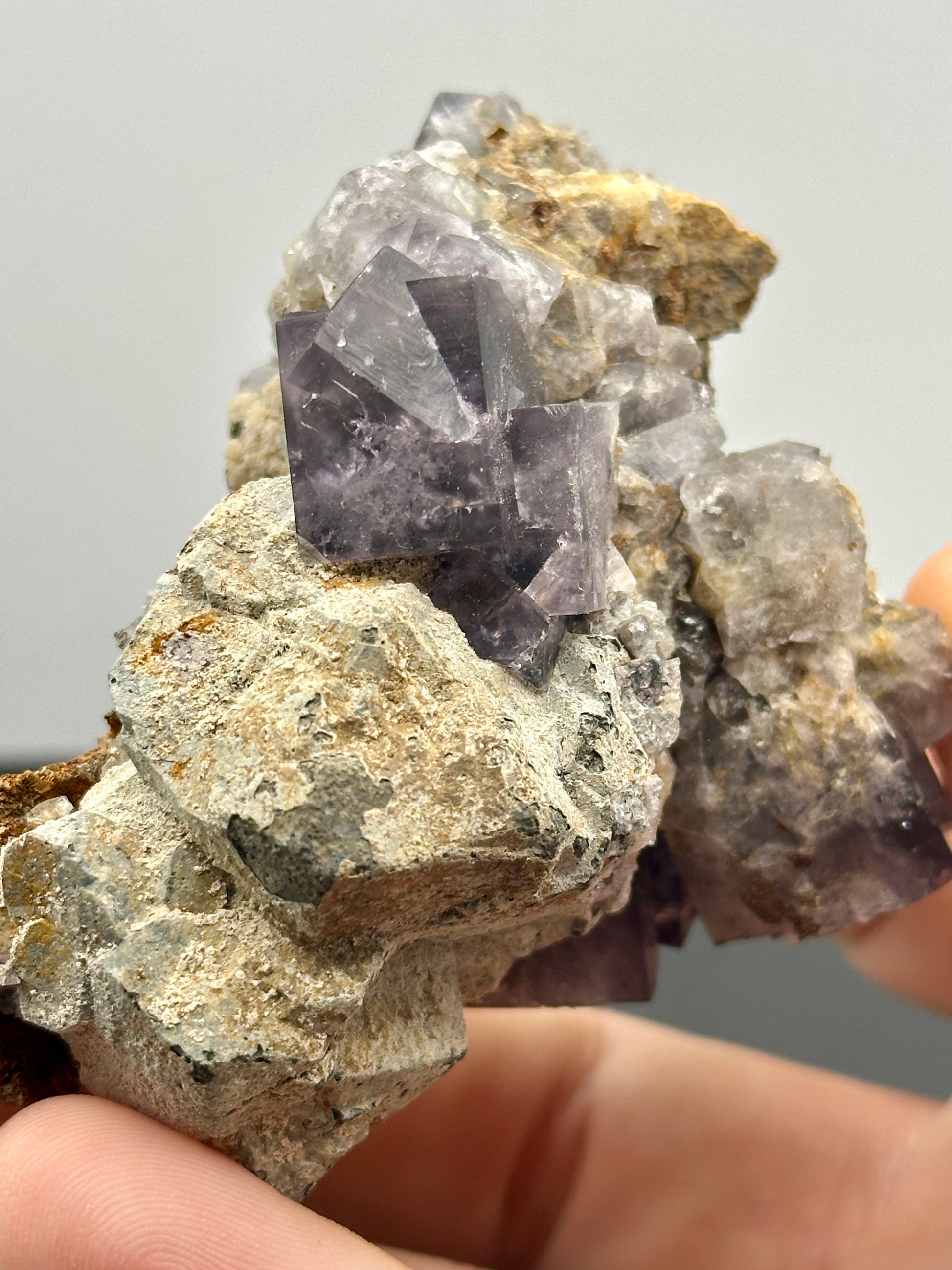 A hand holds a mineral specimen from The Crystalary's collection, the Fluorite- Hailstorm Pocket (HS001) from Lady Annabella Mine in Weardale, Co Durham, UK. This piece showcases fluorescent purple fluorite crystals set within a rough, beige matrix. The translucent geometric shapes create a stunning contrast against the uneven, earthy surface of the stone.