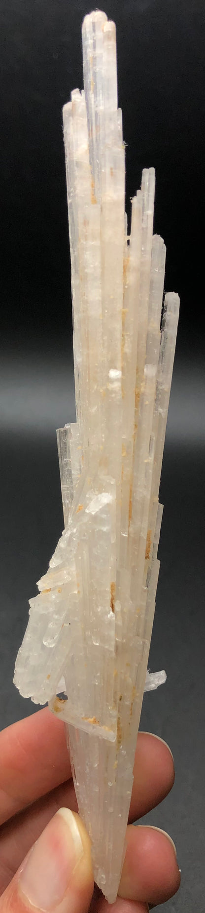 A hand holding a vertical, vitreous formation from The Crystalary's "AUCTION- Scolecite- unk locality" with elongated, crystalline structures against a dark background. The surface of the scolecite crystal features textured patterns in varying shades of white and beige, highlighting its radial growth.