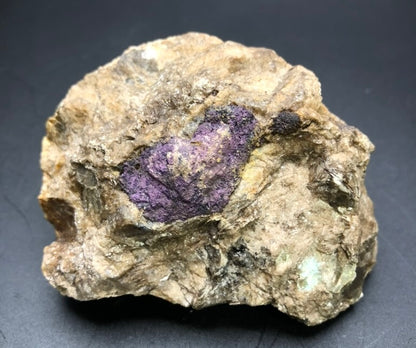 The Crystalary's AUCTION- Wilsonite, altered Scapolite from Canada is a rough, irregularly shaped brown rock featuring a prominent patch of purple scapolite embedded in its surface, set against a plain black background. Its unique mineral composition hints at origins from regions like Canada, where such geological wonders are often discovered.
