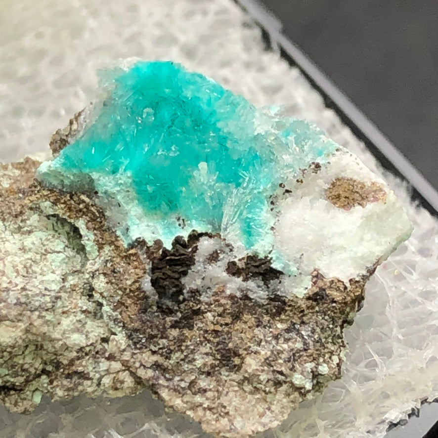 AUCTION- Aurichalcite, Hemimorphite- 79 Mine, Gila County, Arizona, USA