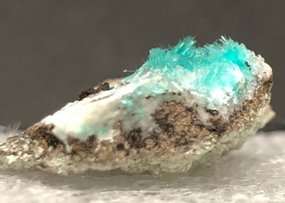 AUCTION- Aurichalcite, Hemimorphite- 79 Mine, Gila County, Arizona, USA