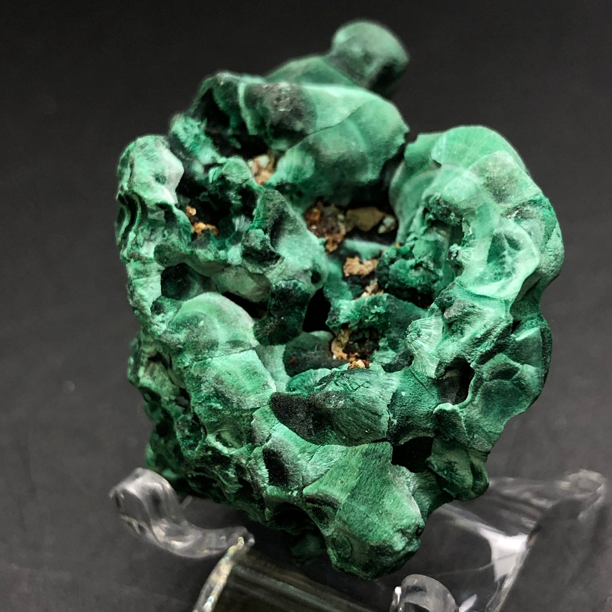 The Crystalary's auction piece, a vivid green mineral formation identified as Malachite from the Liufengshan Mine, Guichi District, Chizhou, Anhui, China, features elaborate swirling patterns and cavities. Presented on a clear stand against a dark backdrop, its texture alternates between smooth and rugged surfaces, highlighting its natural intricacy.