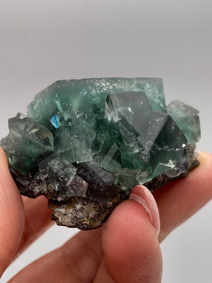 Fluorite- Rainbow's End Pocket, Lady Annabella, Co Durham, UK