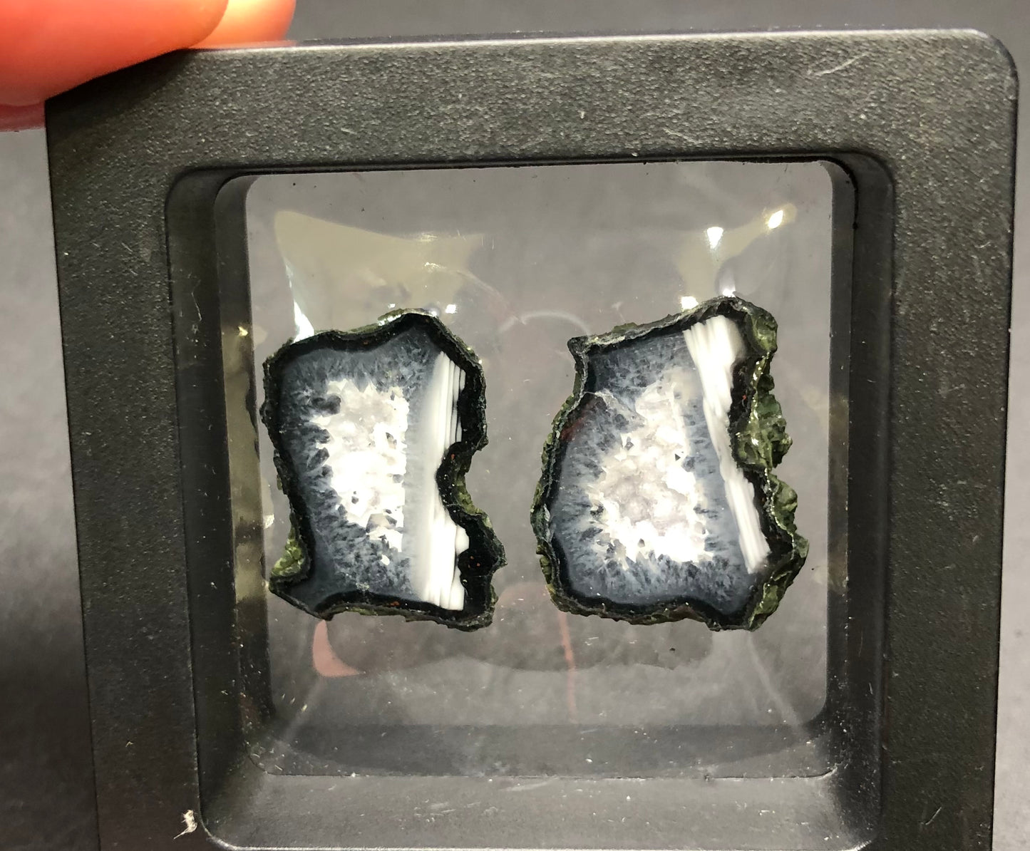 Displayed in a black plastic case are two slices of the AUCTION- Tabasco geode by The Crystalary, originating from Tabasco, Mexico. These green mineral specimens feature dark outer layers and intricate white and gray patterns at their center, reminiscent of druzy quartz formations.