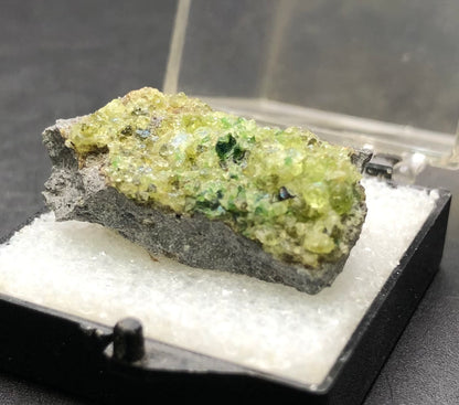 A close-up of a mineral sample from The Crystalary highlights vibrant green micro-crystals, resembling peridot, set in a gray rock base. This specimen, originating from the San Carlos Indian Reservation in Peridot, Arizona, is presented in a small open case with white padding below it. Its striking appearance against the dark background emphasizes its unique provenance.