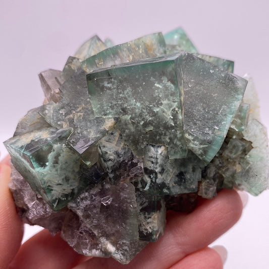 Fluorite- Poison Ivy Pocket, Lady Annabella, Co Durham, UK