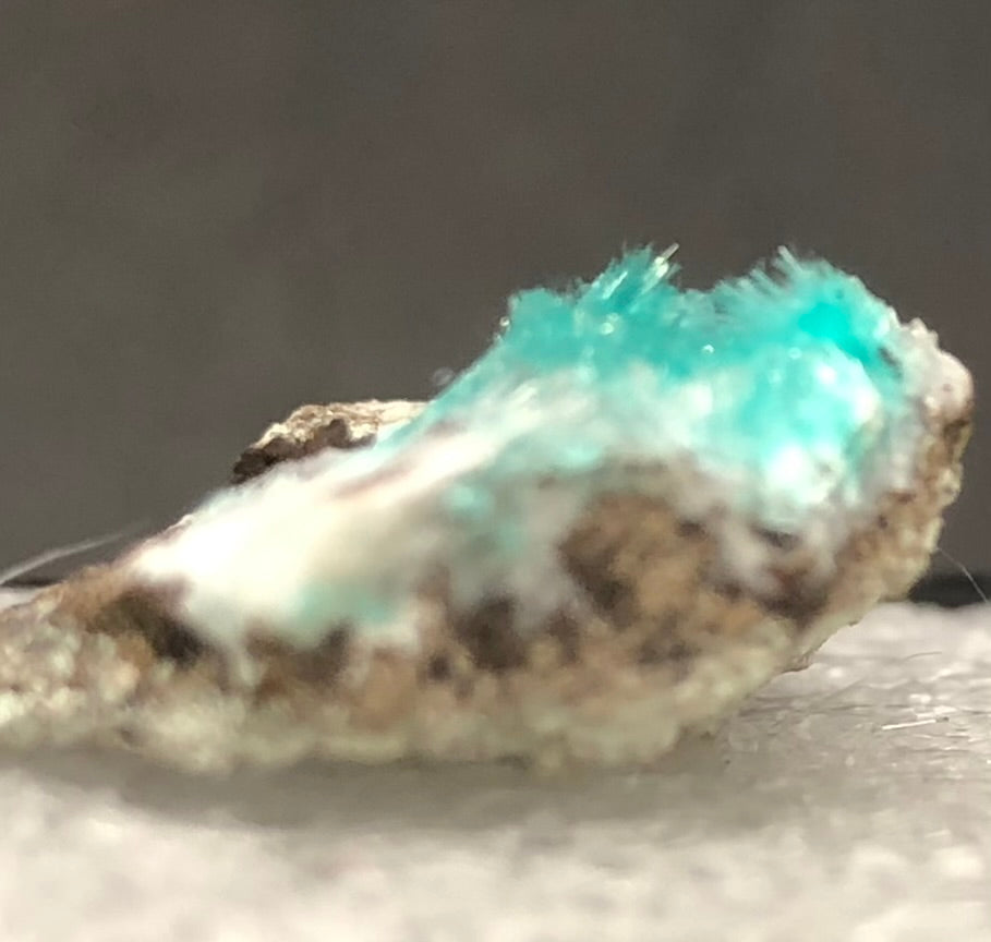 AUCTION- Aurichalcite, Hemimorphite- 79 Mine, Gila County, Arizona, USA