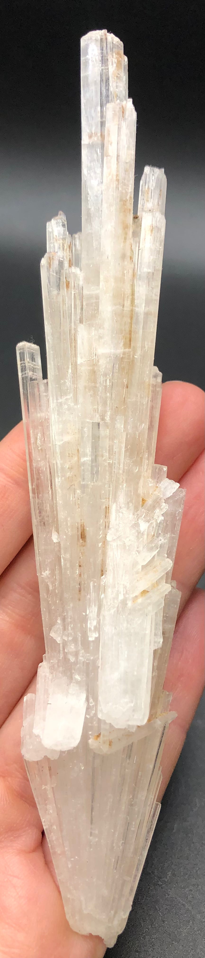 A person holds a cluster of AUCTION - Scolecite from an unknown locality by The Crystalary against a dark background. The elongated, vertical crystals exhibit a jagged, vitreous formation that enhances their natural beauty.