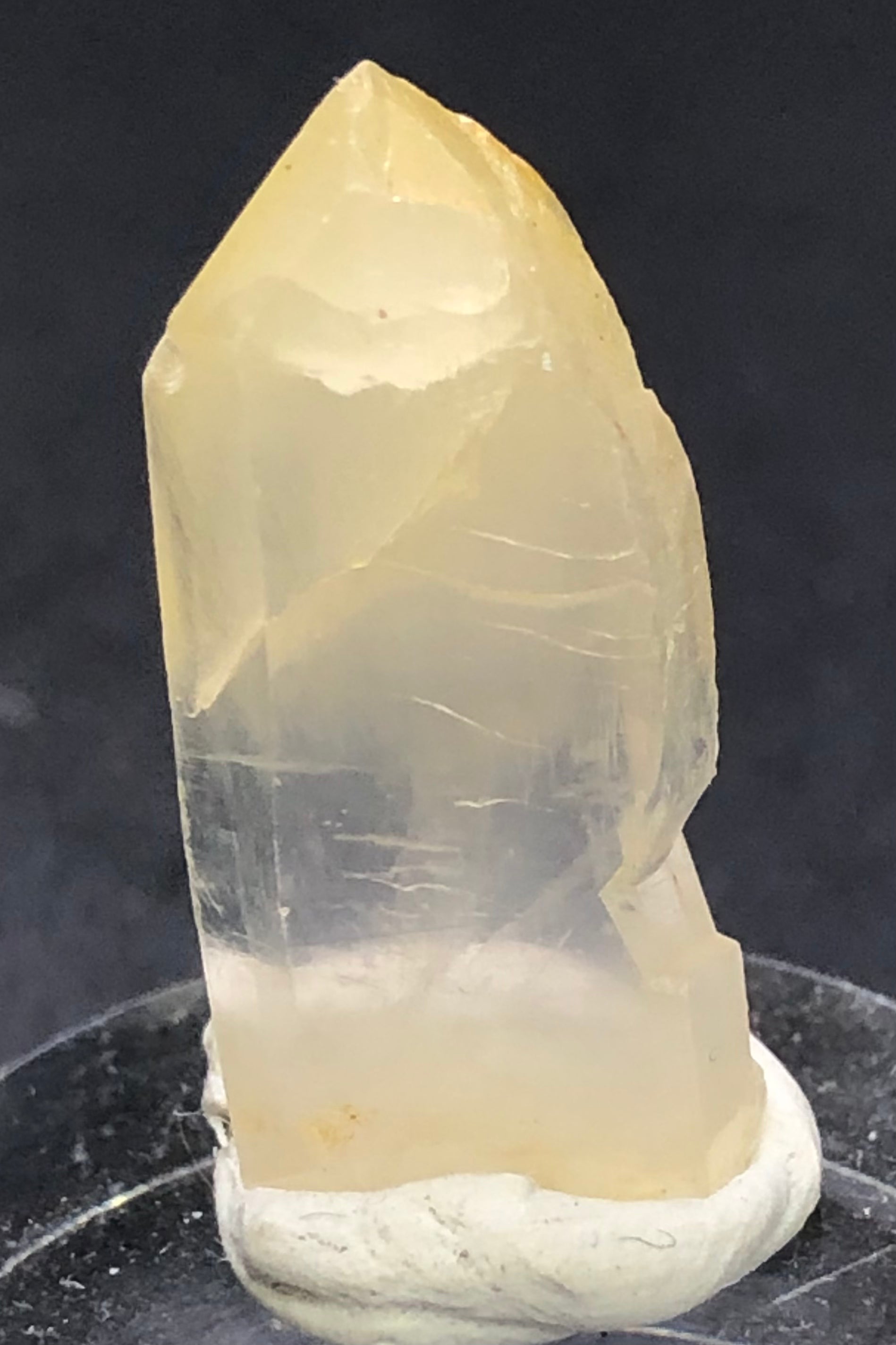 A translucent, pale yellow Mango Quartz crystal from The Crystalary's AUCTION: Quartz w/ Halloysite collection in Cabiche, Quípama, Boyacá Department, Colombia stands on a small white base against a black background. Its glossy surface with visible striations exudes exotic allure.