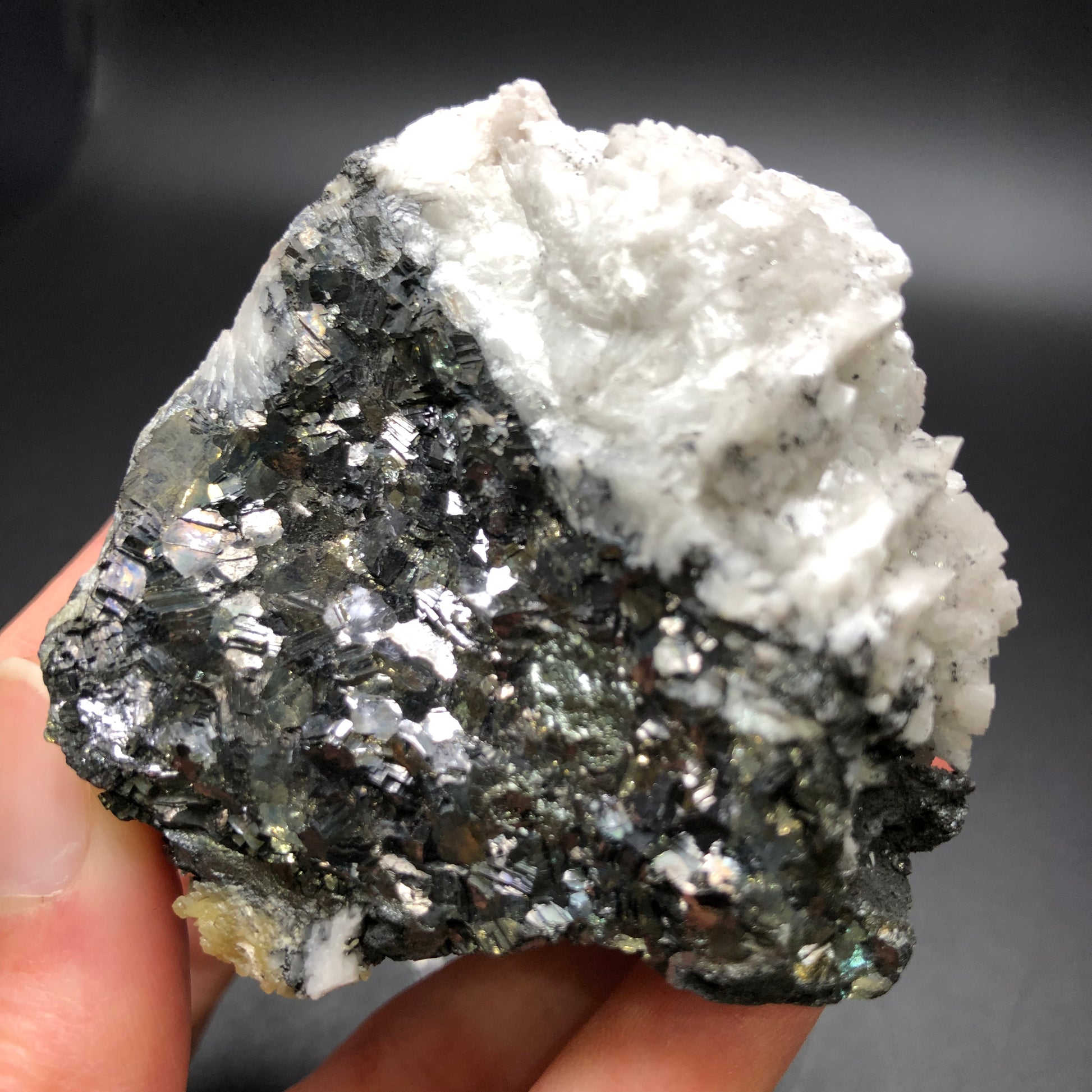 A hand displays a captivating mineral specimen from The Crystalary, known as "AUCTION- Mimetite, Dolomite on Galena" sourced from the Tsumeb Mine in Namibia. One side boasts metallic, shiny galena crystals while the opposite features jagged formations of white dolomite. The plain dark surface backdrop accentuates the contrasting textures and colors of this exceptional mineral combination.