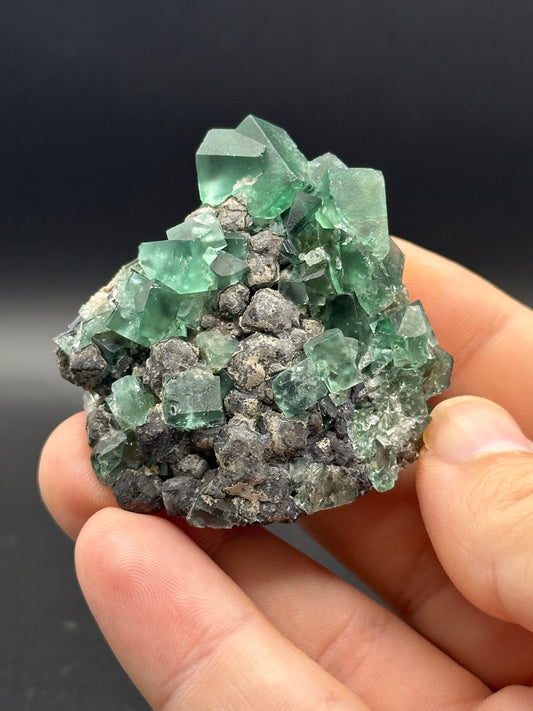 A hand holding a mineral specimen, identified as LIVE- WinzaLite (IG Direct)- 10/1/24 by The Crystalary, showcases green cubic crystals of fluorite on a gray rocky matrix. The well-formed fluorite crystals possess a translucent quality and stand out sharply against the darker backdrop, reminiscent of Heavy Metal album covers. The setting is a plain black background.