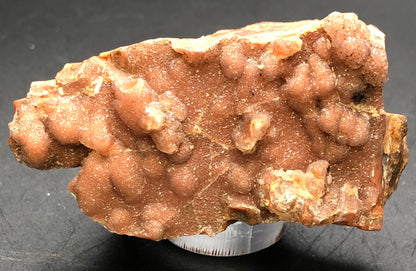 AUCTION- Chalcedony- unk locality