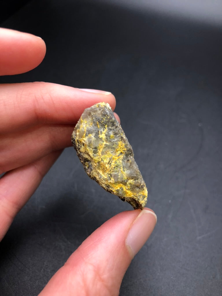 A hand holds a rough, dark stone with yellow streaks against a black background. The jagged and uneven texture reveals the natural beauty of Pottsite, a rare Pb-Bi vanadate from The Crystalary's AUCTION- Pottsite sourced from the renowned Linka Mine in the Spencer Hot Springs Mining District, Lander County, Nevada, USA.