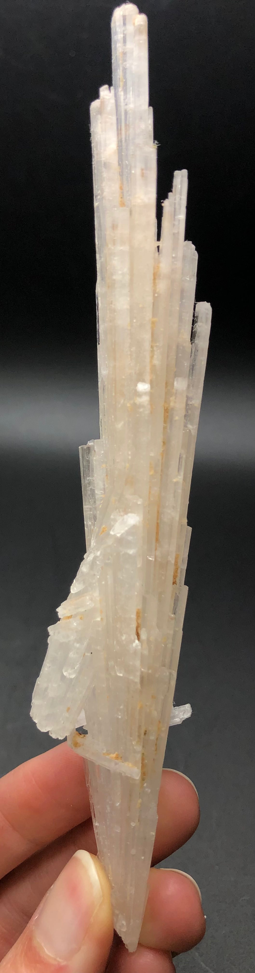 A person holds a long, vertical, clear scolecite crystal cluster from The Crystalary against a dark background, its formation showcasing elongated, translucent shards. The slightly rough texture hints at vitreous formation—a mesmerizing display of natural beauty.