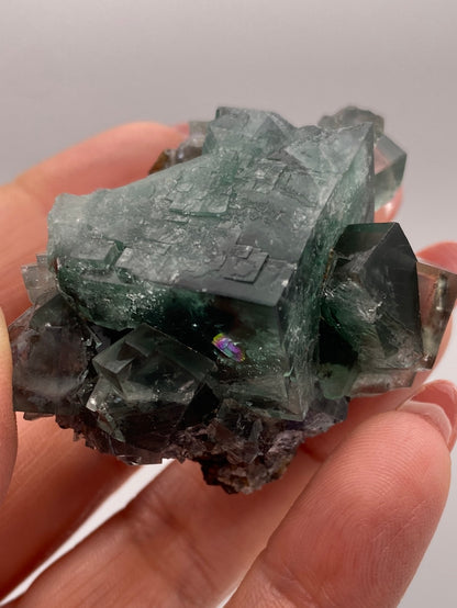 Fluorite- Rainbow's End Pocket, Lady Annabella, Co Durham, UK