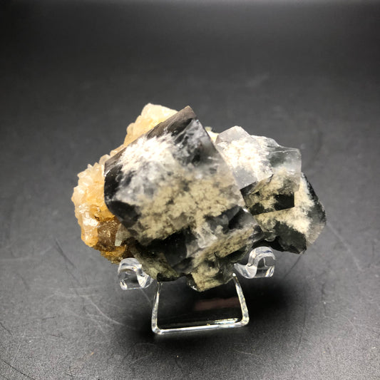 A cluster of cubic crystals in a blend of black, white, and beige rests on a transparent stand against a dark background, highlighting the captivating charm of smoky gray-blue fluorite from the Milky Way Pocket at the Diana Marie Mine. Brought to you by The Crystalary.