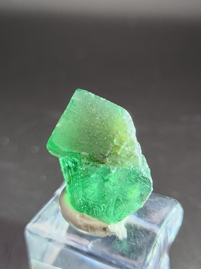 A detailed view of the AUCTION- Fluorite from the Greedy Hog Pocket in the Diana Maria Mine, Weardale, Co Durham, UK is showcased on a cube-shaped stand. Offered by The Crystalary, this vibrant green mineral crystal features a rough, jagged surface with translucent shades that emphasize its striking beauty against a softly blurred neutral background.