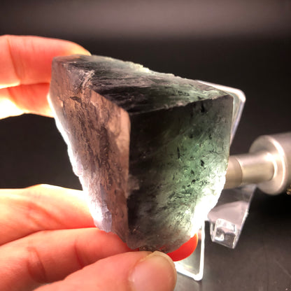 A hand displays a sizeable, dark gray piece of fluorite from The Crystalary's "Purple Rain Pocket" collection, sourced from the Lady Annabella Mine in Eastgate, Weardale, Co. Durham, England. The mineral resembles a purple-black cube with a mix of smooth and rough textures. Illuminated by light, it reveals translucent green hues within its structure. A display stand is partially visible behind the specimen.