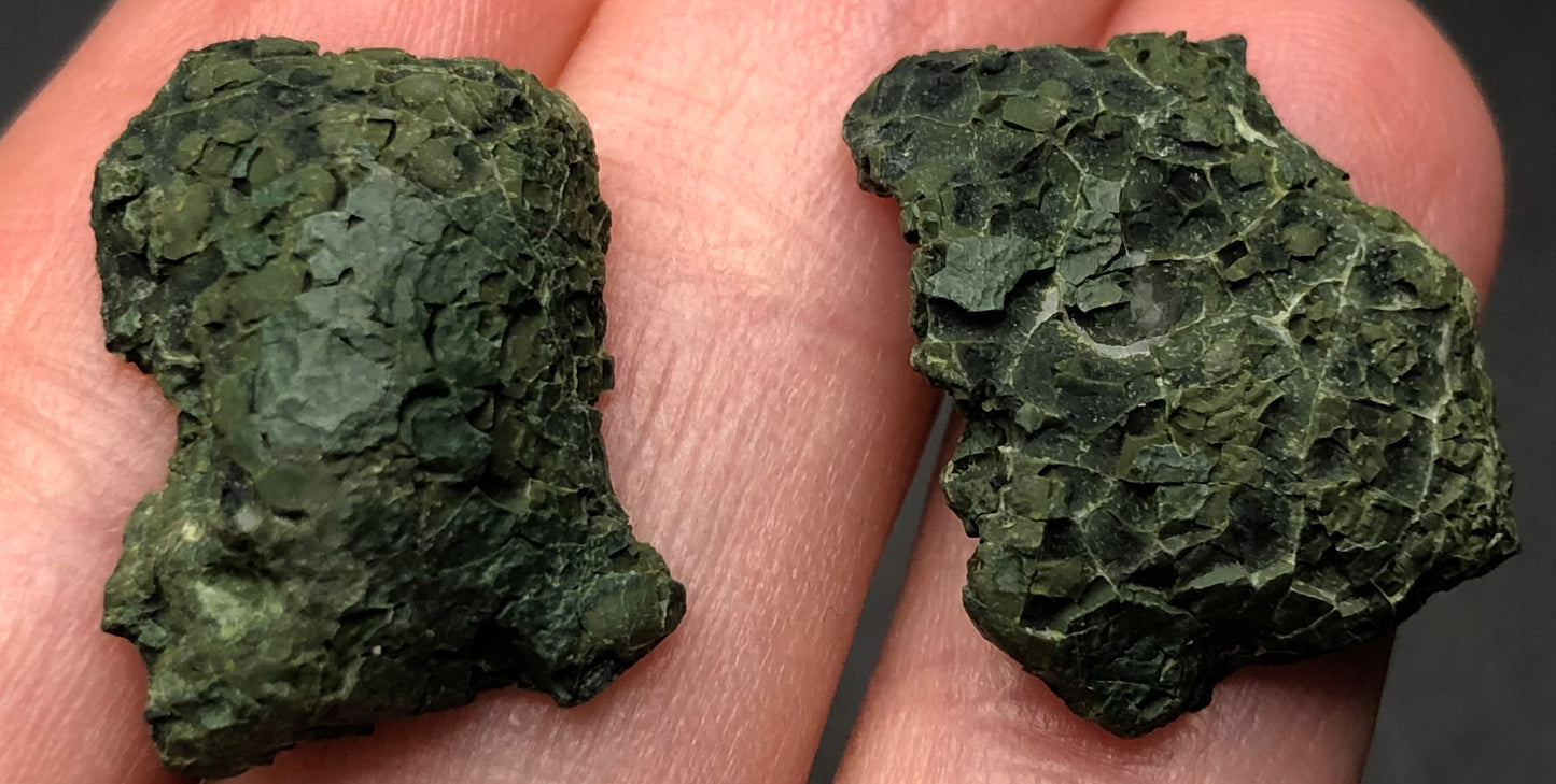 Close-up of two small, rough, dark green AUCTION- Tabasco geodes from Tabasco, Mexico, held between fingers. Resembling chalcedony, their textured, flaky surface and irregular shape are emphasized by the blurred background, which highlights the mysterious allure of these intriguing stones by The Crystalary.