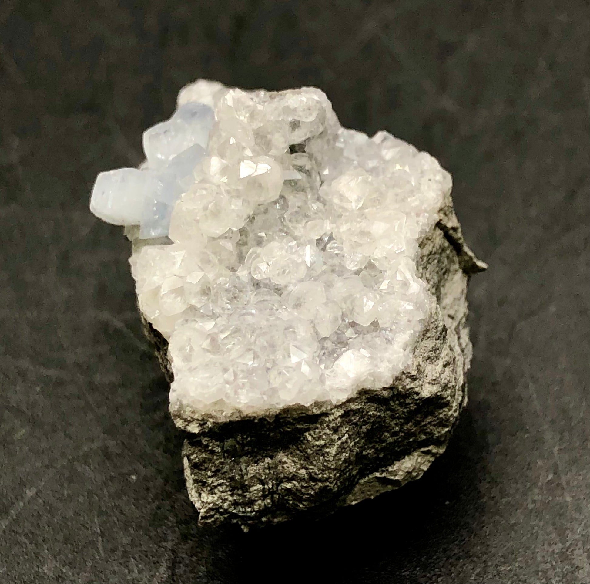 Close-up of the AUCTION- Celestine from Meckley's Quarry, Mandata, Northumberland County, Pennsylvania, USA by The Crystalary with clear, sparkling crystals on a dark background. Among the quartz clusters, various facets catch the light, while pale blue celestine miniatures adorn the formation. The gray base appears rugged and rocky.