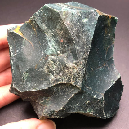 A hand holding the **AUCTION- Bloodstone- unk locality** from **The Crystalary**, showcasing its rough edges and dark, earthy tones with visible natural patterns and textures.