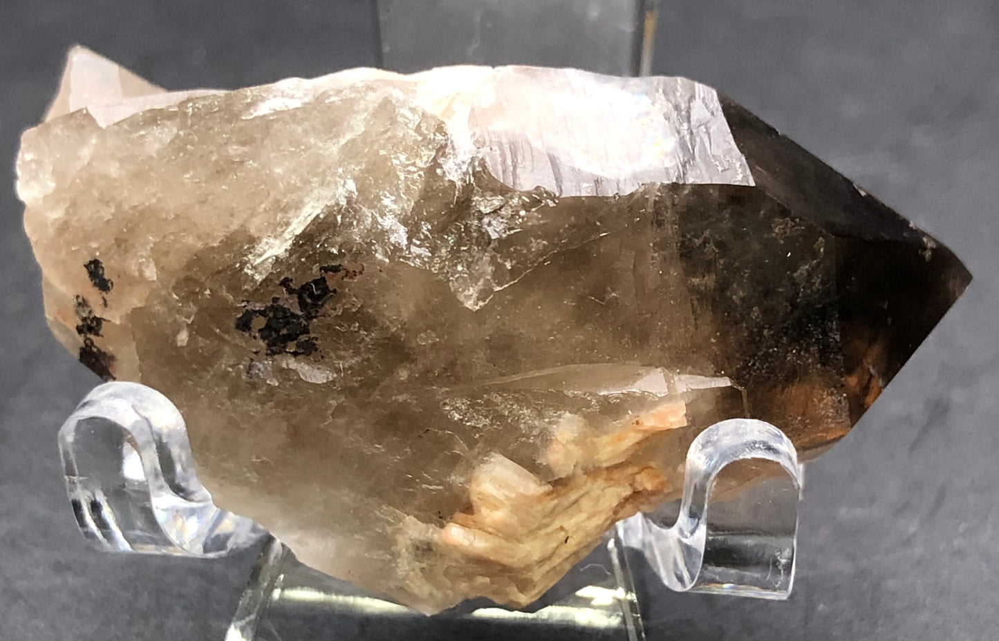 AUCTION- Smoky Quartz- Lake George, Park County, Colorado, USA