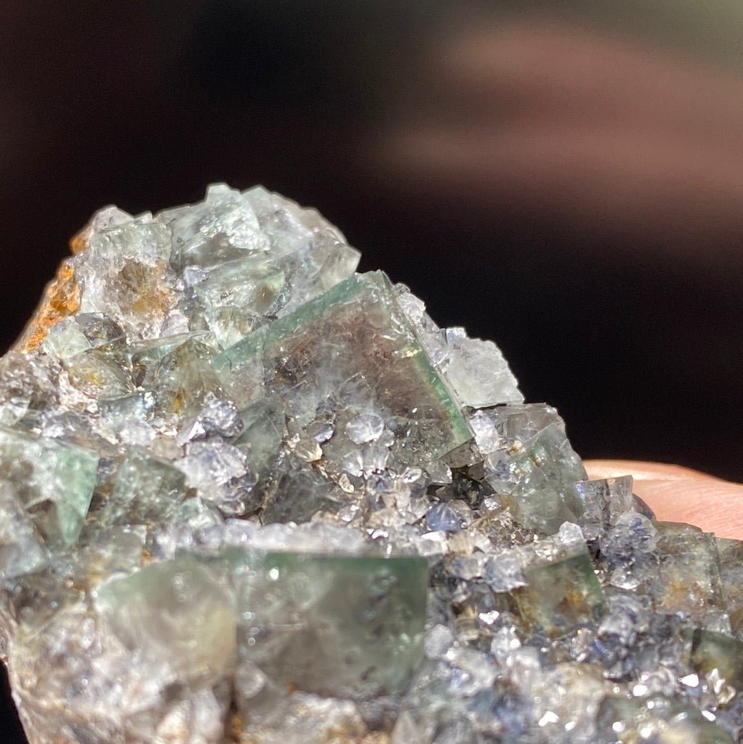 Close-up of a hand holding a mineral cluster displaying an array of translucent, pale green and clear crystalline structures. The background is dark, making the crystals stand out prominently. This color-changing Fluorite from the Northern Lights Pocket at the Diana Maria Mine in Co. Durham, England showcases the intricate and sparkling texture of the mineral. Available from The Crystalary.